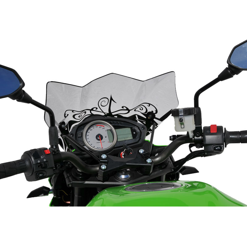 Cupula deportiva Ermax 29 cm Kawasaki Z750 07-12