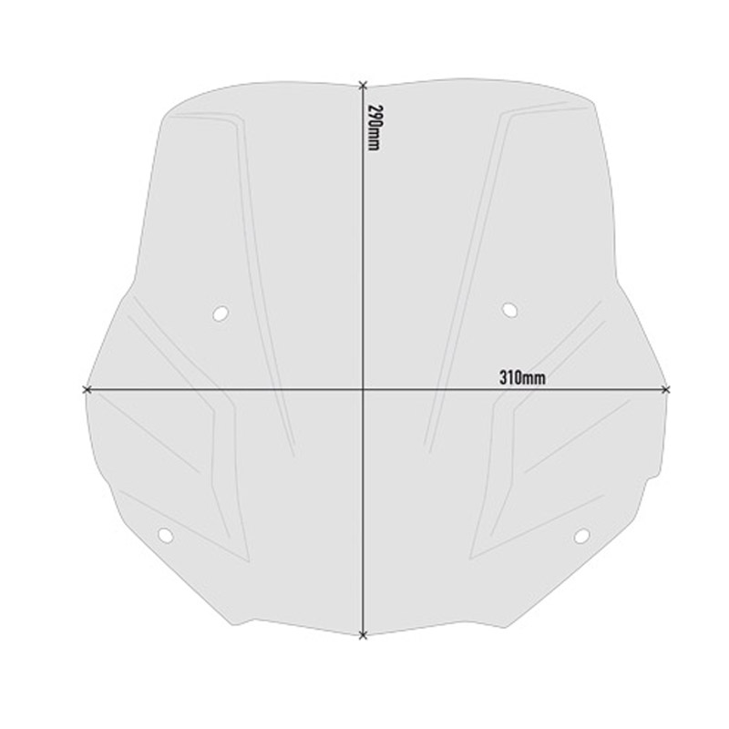 Cupula ahumada BMW F900R 20- Givi