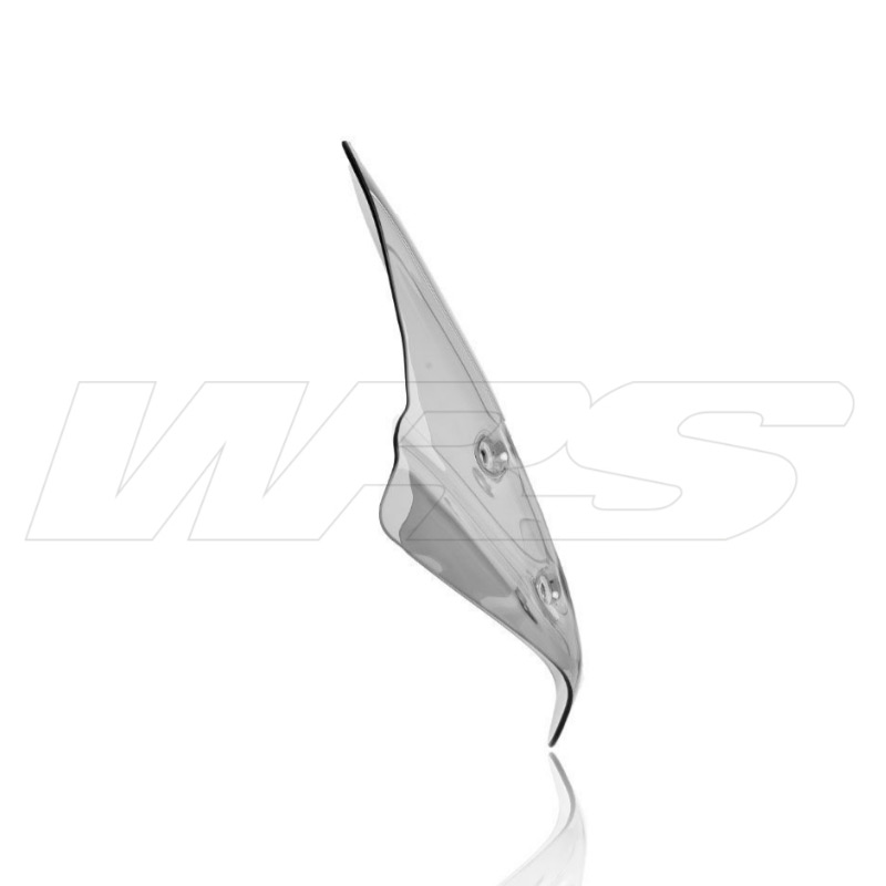 Cupula estandar Bmw R1250R 19-