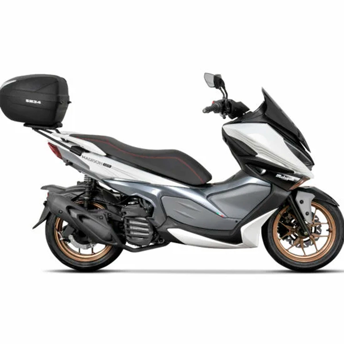 Soporte trasero Shad Malaguti Madison 125 22+