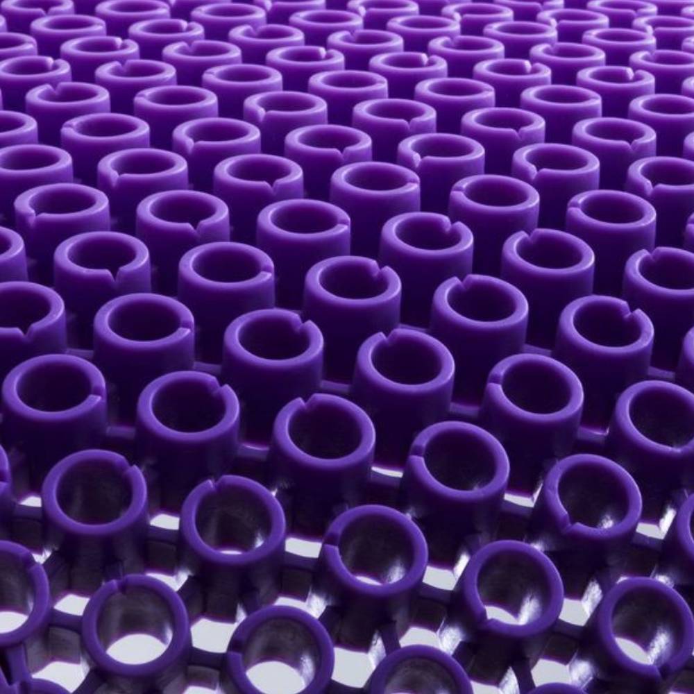 Protector de espalda Re Zro nivel 2 Rebelhorn