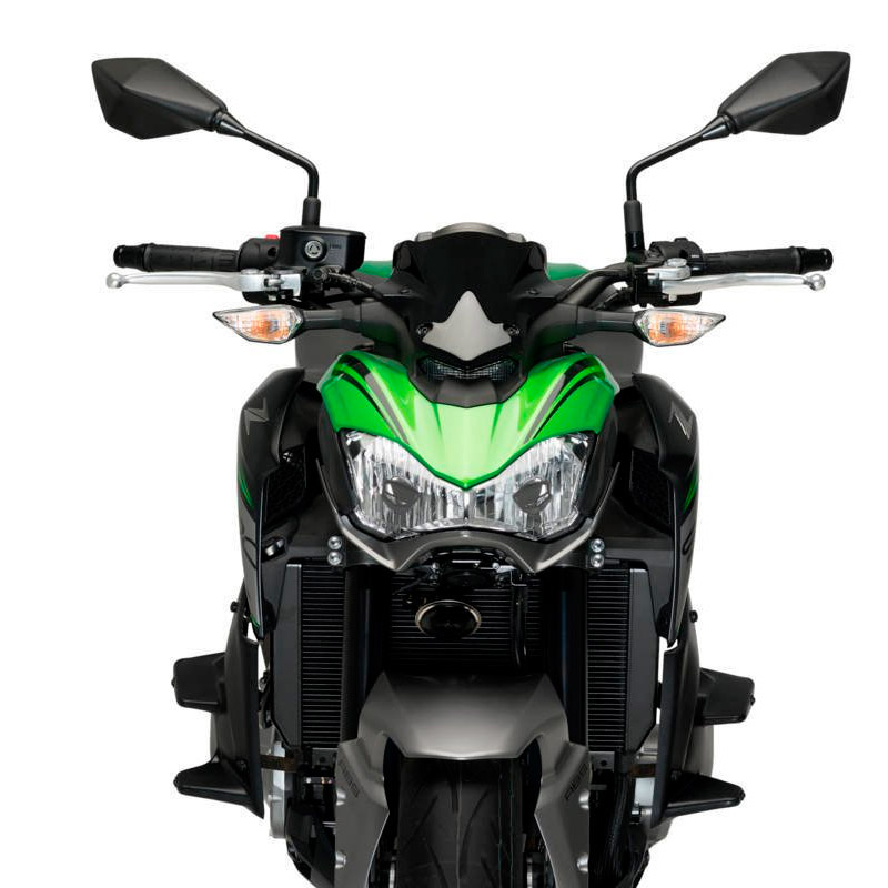 Aleron Downforce Kawasaki Z900 17-19