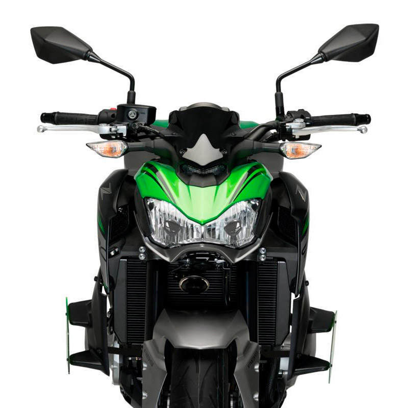 Aleron Downforce Kawasaki Z900 17-19