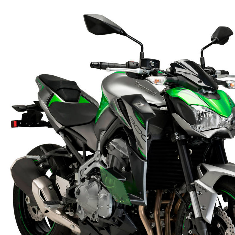 Aleron Downforce Kawasaki Z900 17-19