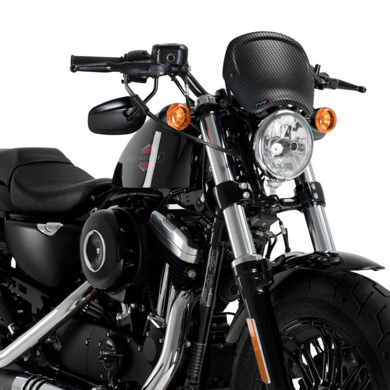 Placa frontal HD Sportster Forty Eight 17- Puig