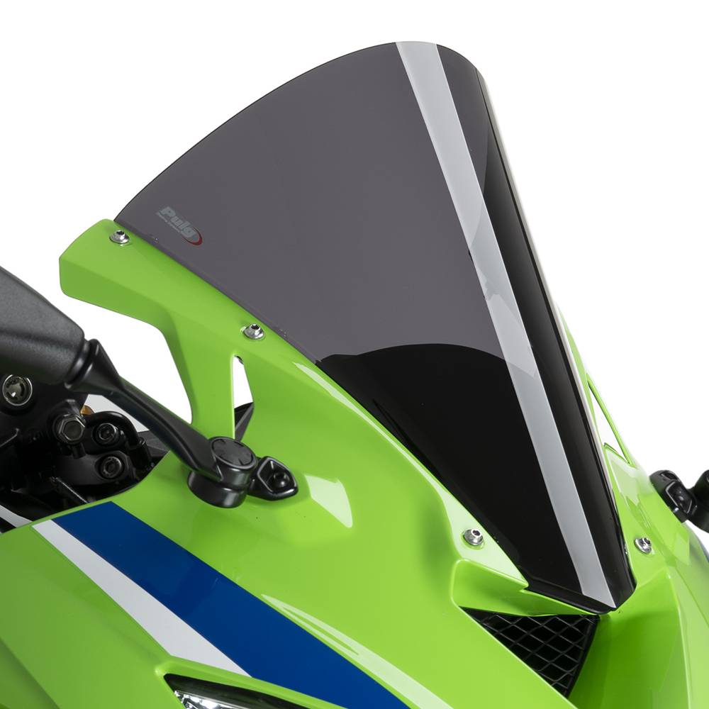 Cúpula R-Racer Kawasaki ZX4R-RR 24-