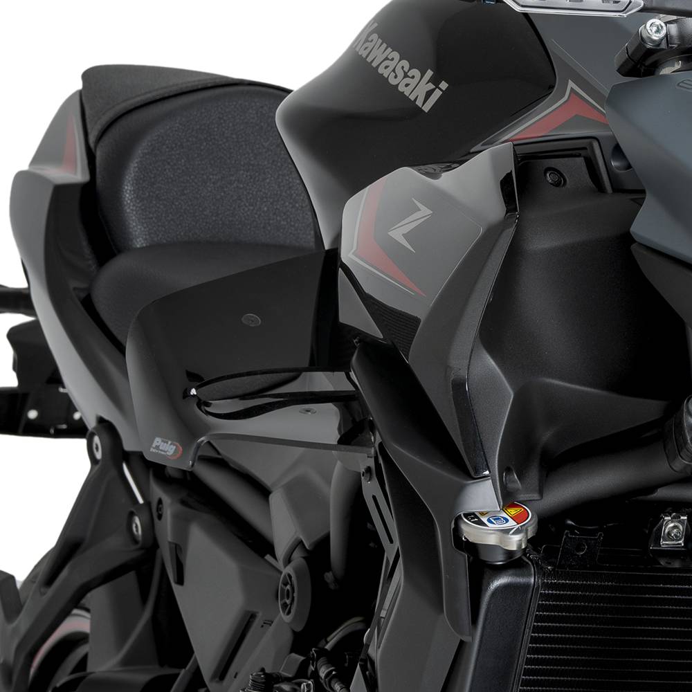 Alerones D12 Kawasaki Z650 20- Puig