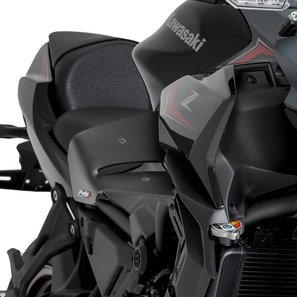 Alerones D12 Kawasaki Z650 20- Puig