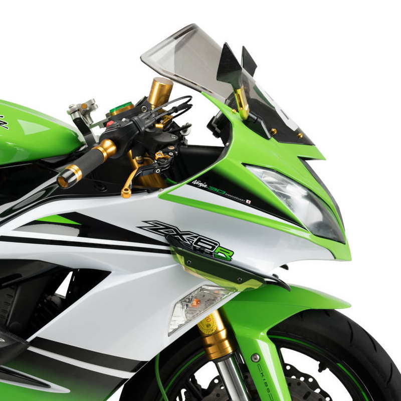 Aleron Downforce Kawasaki ZX-6R 2009-2016