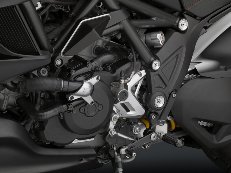 Protector bomba de agua Ducati Monster - Diavel - Multistrada Rizoma