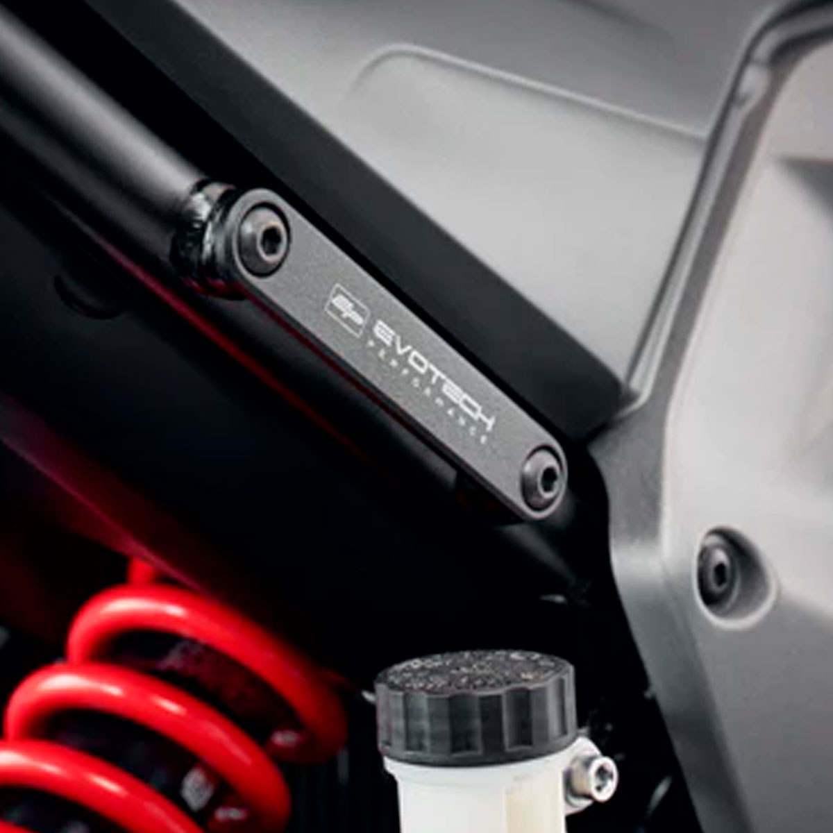 Tapas estriberas Triumph Daytona 660 21+