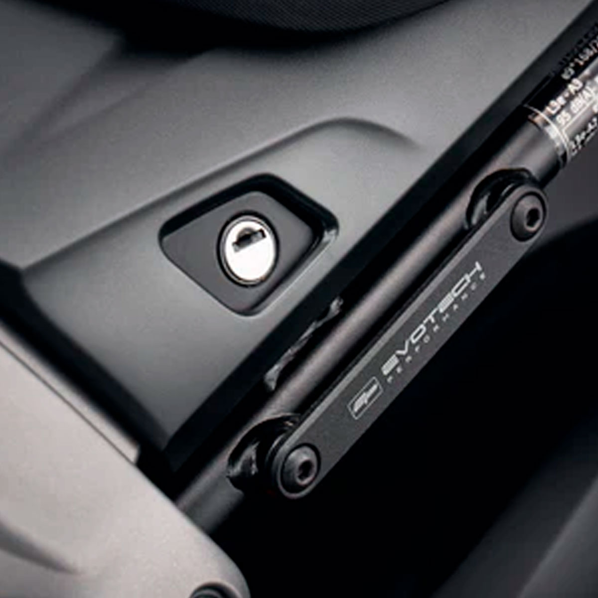 Tapas estriberas Triumph Daytona 660 21+