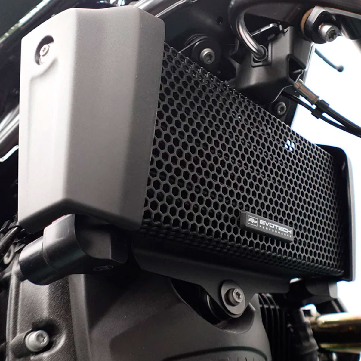 Rejilla protector radiador BMW R12 Ninet 24+