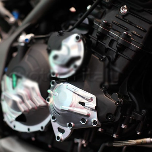 Protector Cigüeñal Derecho Evotech Triumph Speed Triple 1050 16-