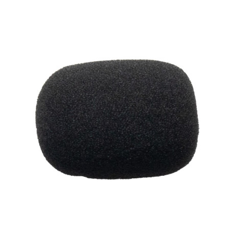 Recambio esponja Cardo para micro