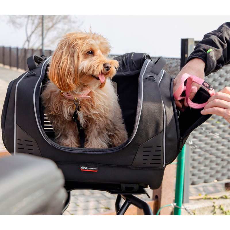 Bolsa para llevar al perro en moto