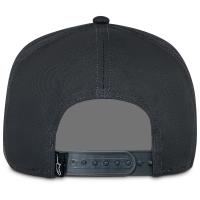 Gorra Alpinestars Intuitive Snapback Gris / Rojo