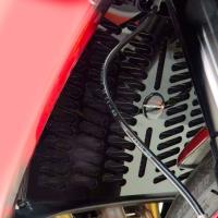 Protector radiador Triumph Daytona 660 24+