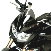 Cupula Kawasaki Z 1000 07-09 marca Bullster 30.5 cm