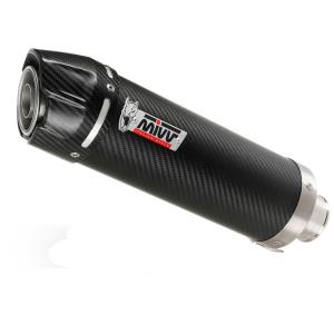 Escape mivv gp carbono CF Moto 450 NK 2023+