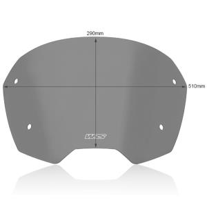 Cupula sport WRS kymco people s 125/200 18-24