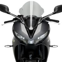Cúpula R-Racer Triumph Daytona 660 24+