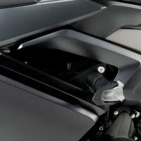 Protector motor Puig R19 Triumph Daytona 660 24+