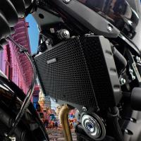 Protector radiador Royal Enfield Himalayan 450 24+