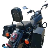 Respaldo Sin portaequipajes UM Renegade