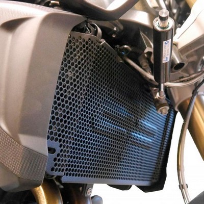 Rejilla protector de radiador EP para BMW F800R 2015-